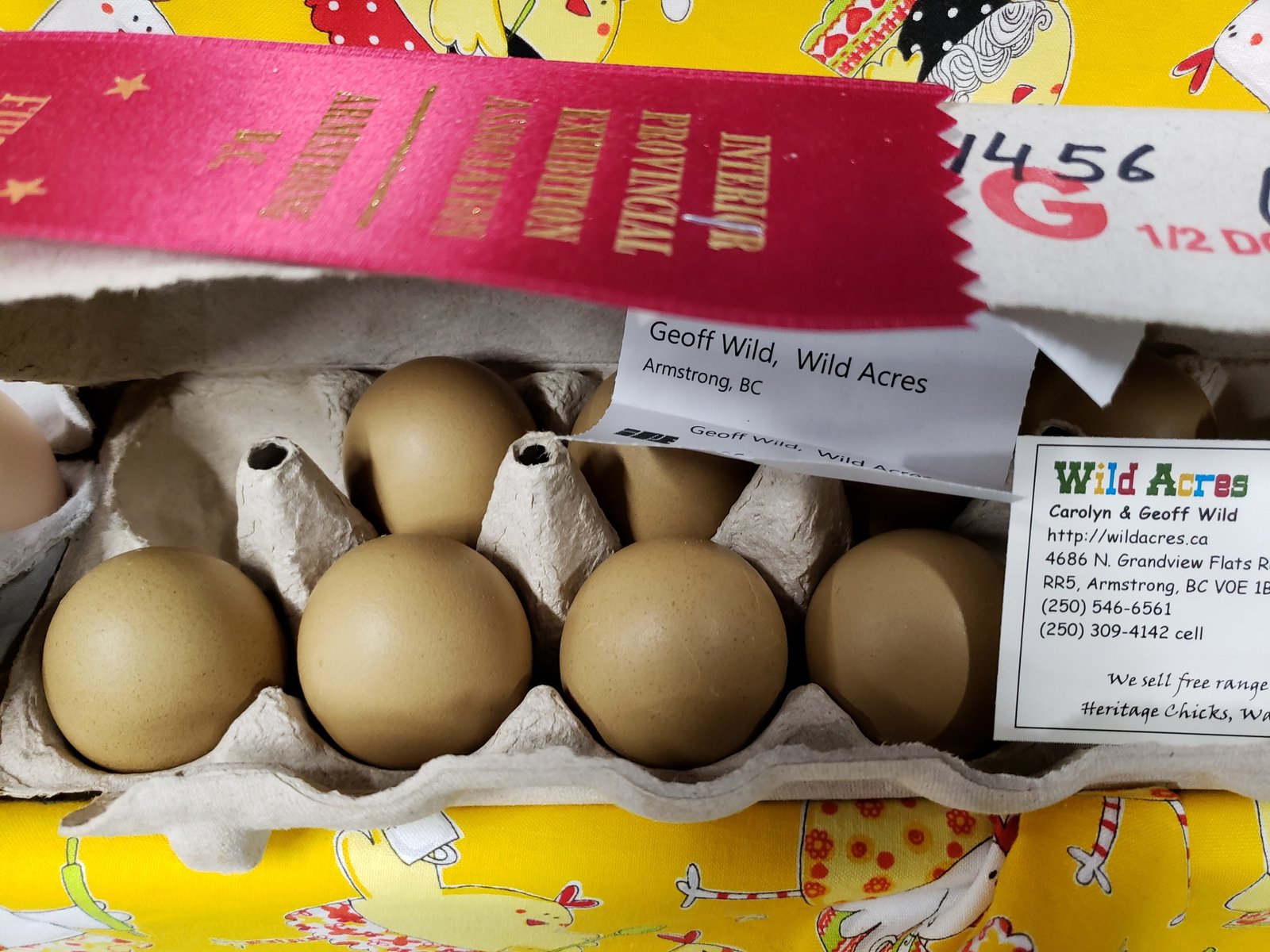 Olive Eggers Eggs Pre-Order